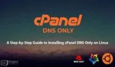 100 DNS Webmail Best Hosting CPanel Fix