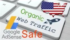 Best 100K USA Organic Traffic AdSense Safe