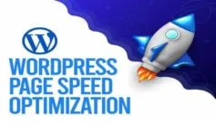 Fast100 WordPress Page Speed Optimization