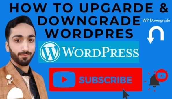 NO1 WordPress Downgrade, Upgrade & Login Fix