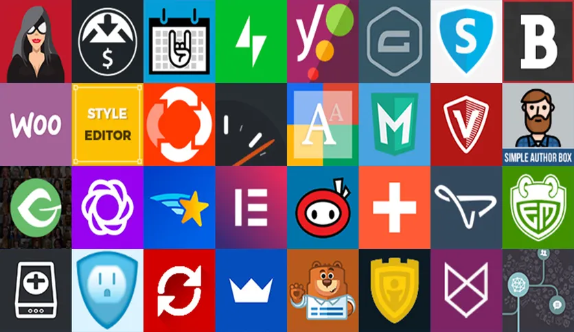 Reels Themes Plugins