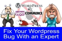 WooCommerce fix-ecommerce-website-bug-errors-fix-within-24-hrs-woocommerce-fiverrclerks