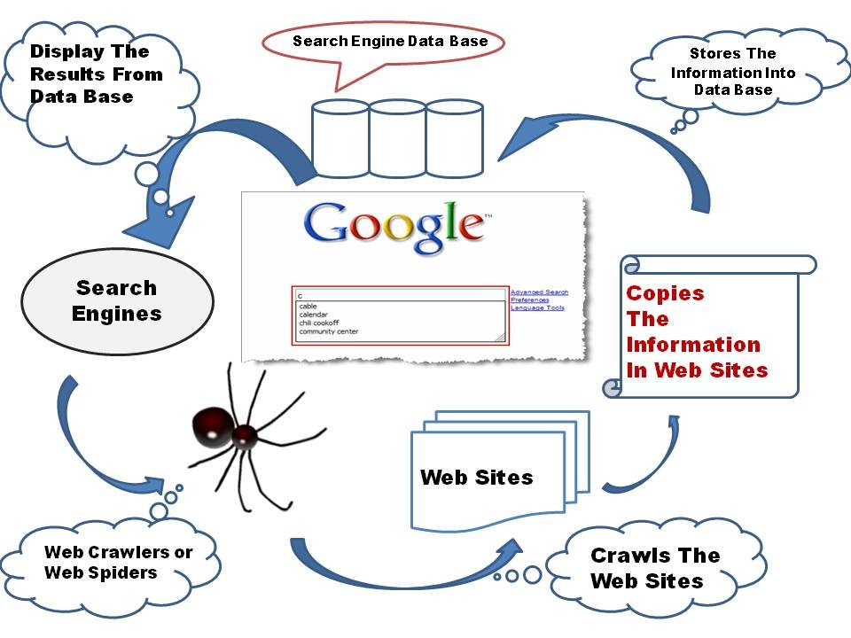 How search engines work