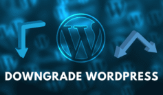 Downgrade WordPress Upgrade $1