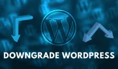 Downgrade WordPress