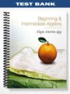 Test_Bank_for_Beginning__Intermediate_Algebra_4th_Edition_by_Martin Gay