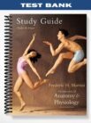 Test_Bank_for_Fundamentals_Of_Anatomy__Physiology_7th_Edition_by_Martini.jpg