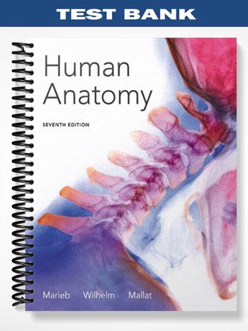 Test Bank for Human Anatomy 7th Edition by Marieb